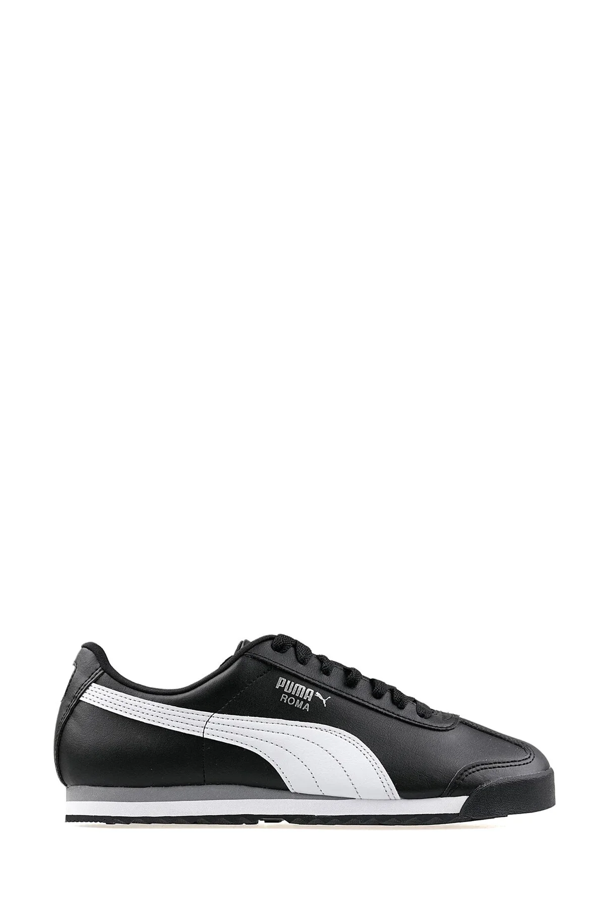 5W Roma Basic